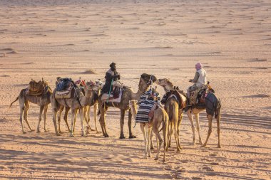 Wadi Rum, Ürdün - Mart 2019: Deve karavan çölde Wadi Rum, Orta Doğu, Ürdün