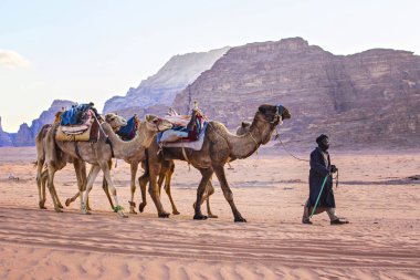Wadi Rum, Ürdün - Mart 2019: Deve karavan çölde Wadi Rum, Orta Doğu, Ürdün