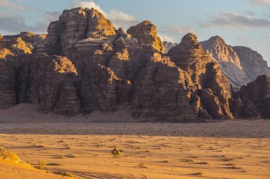 Wadi Rum, Ürdün - Mart 2019: Deve karavan çölde Wadi Rum, Orta Doğu, Ürdün