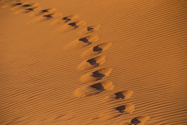 Kamelfußabdruck Sand Der Wadi Rum Wüste Jordanien — Stockfoto