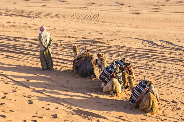 ワディ ラム砂漠 ヨルダンのワディ ヨルダン 2019年 ラクダ キャラバン — ストック写真