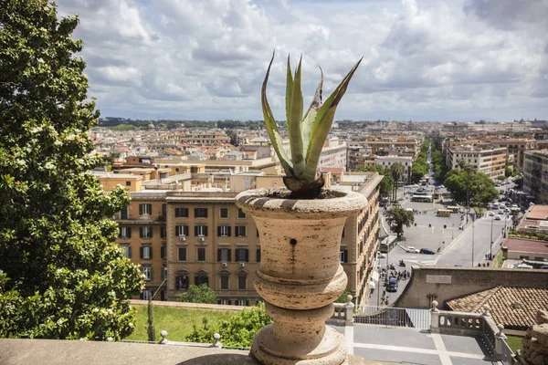 Vaticano Roma Junho 2018 Flor Varanda Museu Vaticano Vista Aérea — Fotografia de Stock