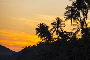 Koh Samui Adası 'nda gündoğumu, Tayland