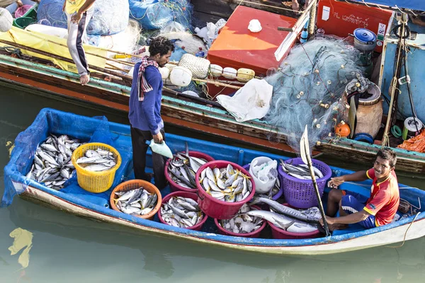 Koh Samui Thajsko Duben 2019 Thajští Rybáři Lodi Plné Ryb — Stock fotografie