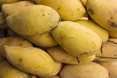 Sarı olgun taze mango arka planı