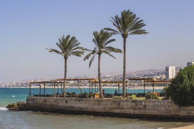 Sayda (Sidon) kıyı şeridi, Sidon Deniz Kalesi manzaralı, Lübnan kıyısında palmiye ağaçları var..