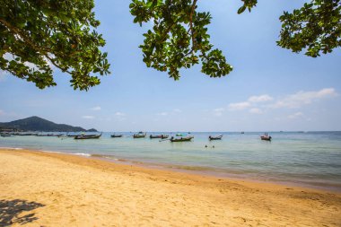Koh Tao, Tayland - Mart 2019: Koh Tao adasında tropikal cennet kumlu plaj, Koh Samui, Tayland. Tayland Beach Holiday. Güneşli bir günde Tropikal Tay plajı.