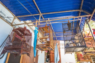 Koh Tao, Tayland - Nisan 2019: Koh Tay, Tayland satılık kafeslerde küçük kuşlar
