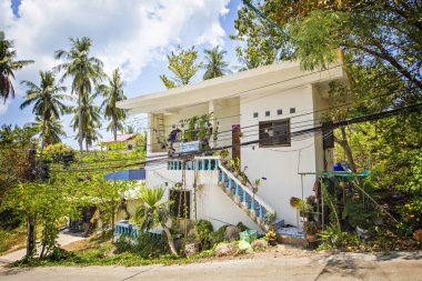 Koh Tao, Tayland - Nisan 2019: Koh Tao adasındaki tropikal bahçede kiralık geleneksel villa, bungalov veya ev, Samui, Tayland