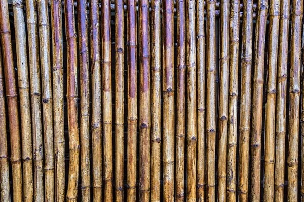 Dry Bamboo wall background, bamboo twigs wallpaper