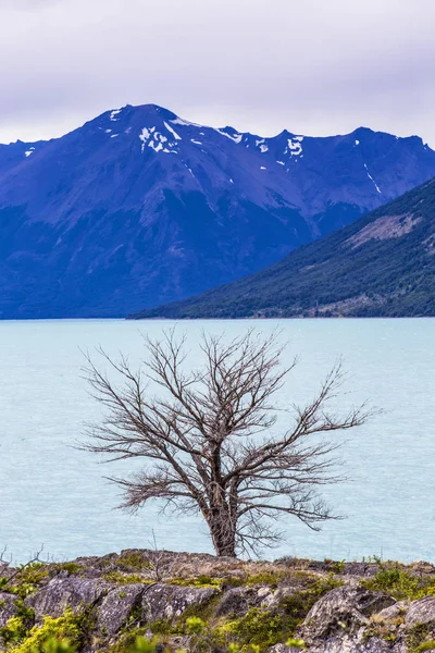 Glaciar Perito Moreno Parque Nacional Los Glaciers Patagônia Argentina Geleira — Fotografia de Stock