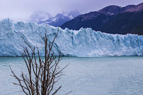 Національному Парку Лос Льодовиків Патагонія Аргентина Blue Ice Льодовик Стародавній — стокове фото