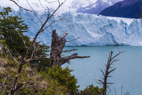 Національному Парку Лос Льодовиків Патагонія Аргентина Blue Ice Льодовик Стародавній — стокове фото