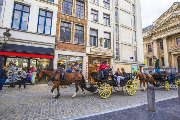 Brüksel caddesinde at arabası, Belçika.