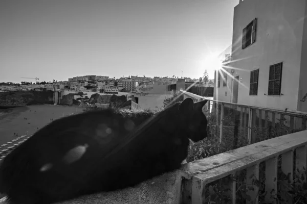 Zonsondergang Boven Albufeira Oude Stad Algarve Portugal — Stockfoto