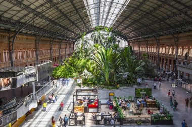 Madrid, İspanya - Haziran 2019: Madrid, İspanya'daki Atocha Tren İstasyonu'nun içindeki botanik bahçesi