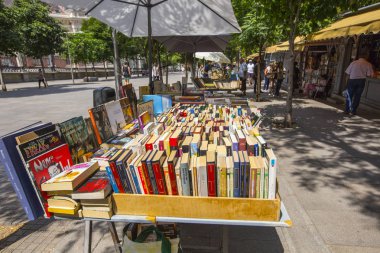 Madrid Kitap Pazarı en Paseo del Prado, İspanyolca kitaplar, Madrid, İspanya