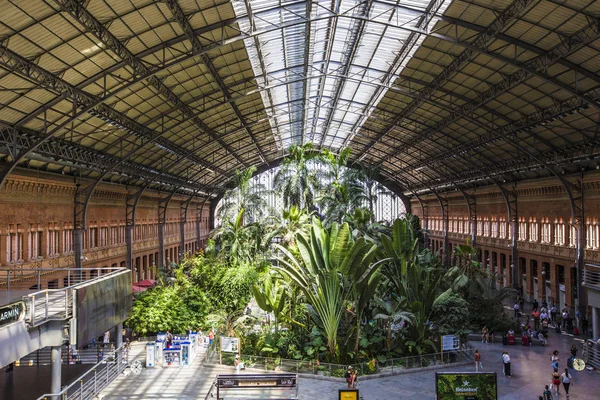 Madrid España Junio 2019 Jardín Botánico Dentro Estación Ferroviaria Atocha — Foto de Stock