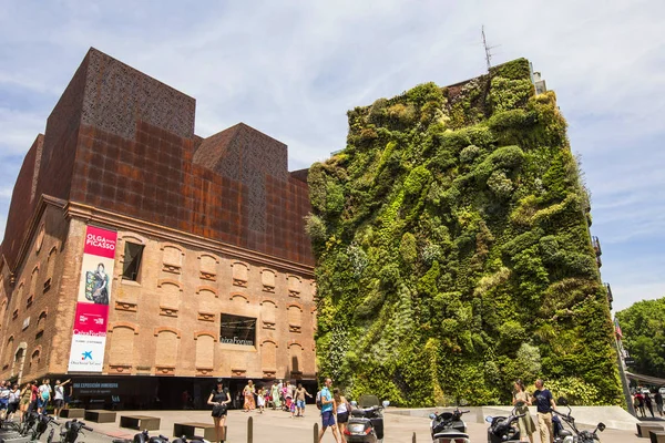 Madrid, İspanya - Haziran 2019: Yeşil duvar Madrid. Madrid'in Caixaforum'un önündeki destansı dikey bahçesi dünyanın en yemyeşil yaşayan surlarından biri olan İspanya'dır.