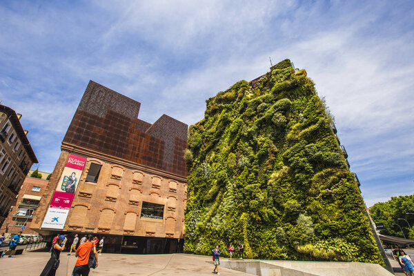 MADRID, SPAIN - June 2019: Green wall Madrid. Madrid's epic vertical garden on the front of the CaixaForum is one of the world's most lush living walls, Spain