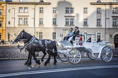 Krakow, Polonya - Ağustos 2019: Krakow eski şehir, Polonya sokakta at arabası