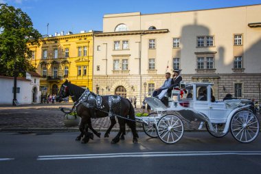 Krakow, Polonya - Ağustos 2019: Krakow eski şehir, Polonya sokakta at arabası
