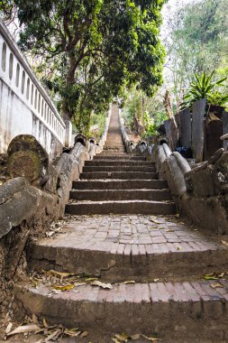 Budist tapınağının merdivenlerinde altın ejderhalar var. Ormanda, Tayland 'da, Laos' ta.