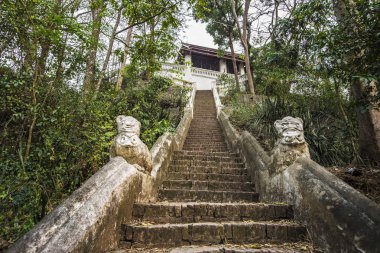 Stairs of the Buddhist temple with golden dragons hidden in jungle, Thailand, Laos