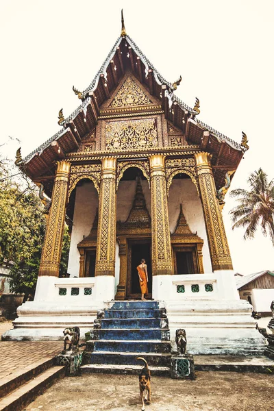 Luang Prabang Laos April 2019 Traditioneller Kleiner Buddhistischer Tempel Luang — Stockfoto