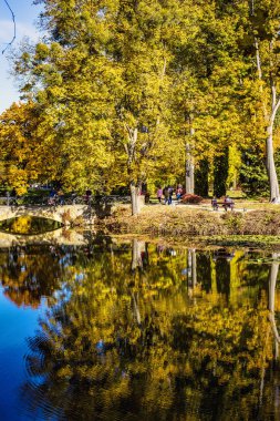 Bila Tserkva, Ukrayna - Ekim 2018: Ukrayna 'da altın sonbahar. Sonbahar parkındaki çimlerde insanlar, Ukrayna 'da güzel bir sonbahar mevsimi.