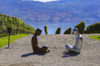 Kelowna, Kanada - Eylül 2019: Kelowna üzüm bağları. British Columbia, Kelowna, Kanada 'daki üzüm bağı manzarası