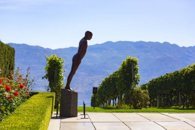 Kelowna, Kanada - Eylül 2019: Kelowna üzüm bağları. British Columbia, Kelowna, Kanada 'daki üzüm bağı manzarası