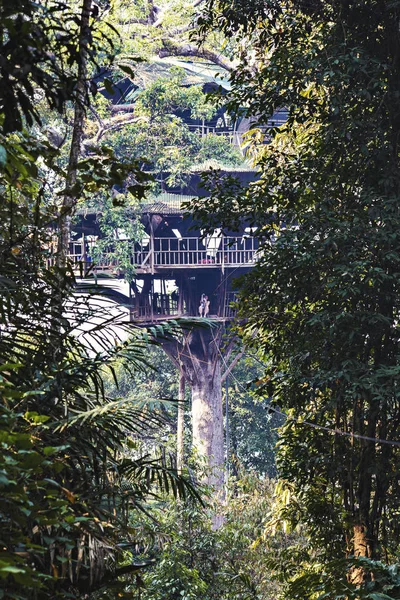 Houayxay Laos Marzo 2019 Casa Del Árbol Tirolina Selva Laos — Foto de Stock