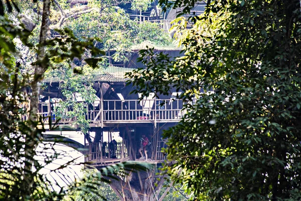 Houayxay Laos Março 2019 Casa Árvore Tirolesa Selva Laos Gibbon — Fotografia de Stock