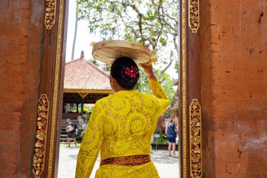UBUD, INDONEZYA - Mart 2020: Balili kadın Ubud Sarayı, Bali, Endonezya 'da tanrılara adak sunuyor