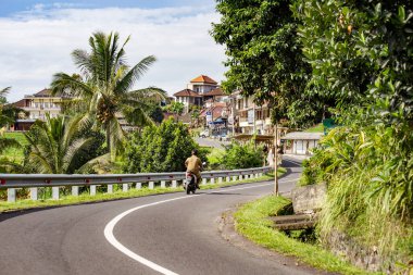 BALI, INDONEZYA - Mart 2020 Balili adam Bali, Endonezya 'daki pirinç tarlalarında motosiklet sürüyor.