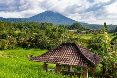 Jatiluwih Rice Terrace, Unesco Dünya Sitesi, Bali, Endonezya