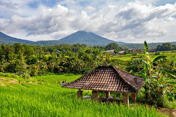 Bali Indonésia Fevereiro 2020 Vista Espetacular Jatiluwih Rice Terrace Unesco — Fotografia de Stock