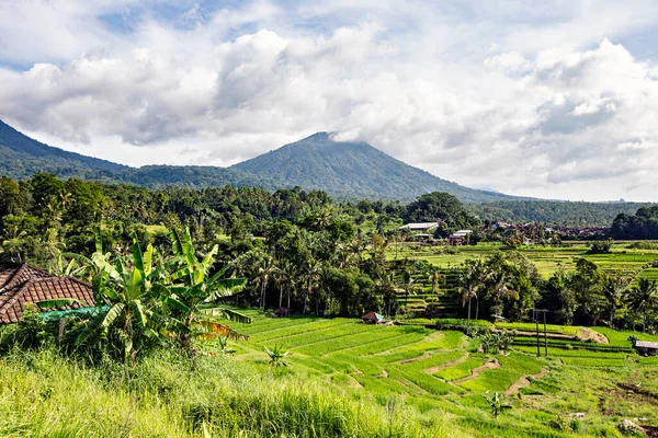 Bali Indonesia Februari 2020 Spectaculair Uitzicht Jatiluwih Rice Terrace Unesco — Stockfoto