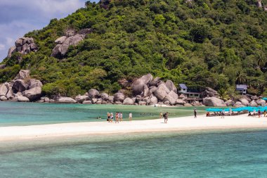 Koh Tao adasındaki cennet kumsalı turkuaz su ve şemsiyeli, Koh Tao, Tayland 
