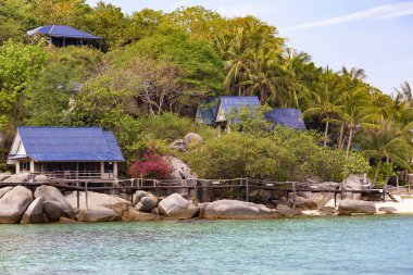 KOH TAO, THAILAND - Mart 2019: Koh Tao, Tayland 'daki tropik villaların havadan görünüşü