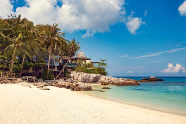 KOH TAO, THAILAND - Mart 2019: Koh Tao, Tayland 'daki tropik villaların havadan görünüşü