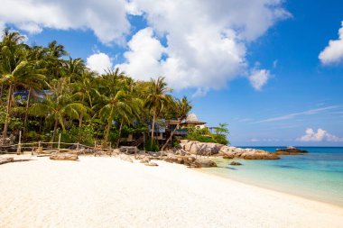 KOH TAO, THAILAND - Mart 2019: Koh Tao, Tayland 'daki tropik villaların havadan görünüşü