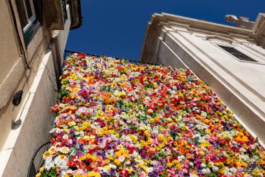 Çok renkli çiçeklerle kaplı duvar, çiçek arkaplanı.