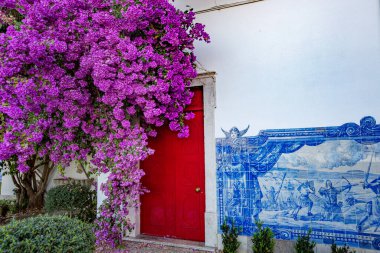 Beyaz Saray 'da büyüyen parlak pembe çiçekli çiçek açan ağaç.