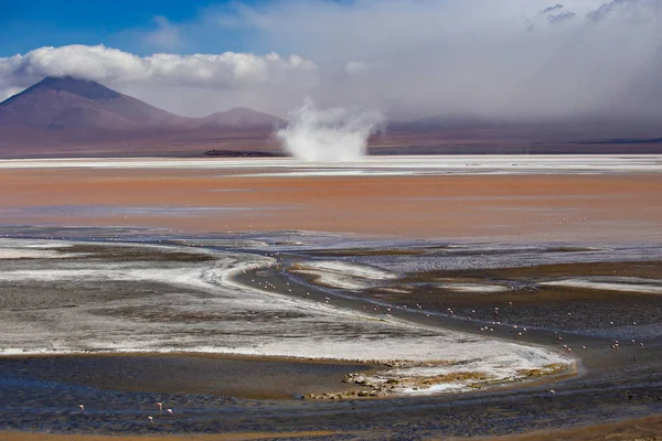 Zapierające Dech Piersiach Krajobrazy Lagoon Colorada Różowymi Flamingami Boliwii Altiplano — Zdjęcie stockowe