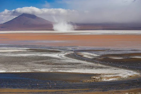 Zapierające Dech Piersiach Krajobrazy Lagoon Colorada Różowymi Flamingami Boliwii Altiplano — Zdjęcie stockowe