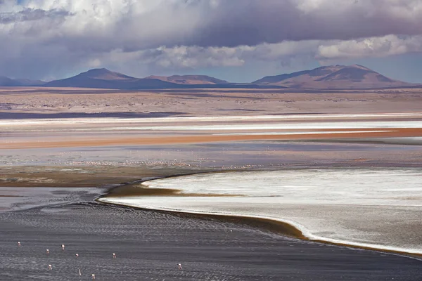Zapierające Dech Piersiach Krajobrazy Lagoon Colorada Różowymi Flamingami Boliwii Altiplano — Zdjęcie stockowe
