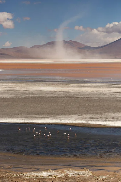 Paisagem Tirar Fôlego Lagoa Colorada Com Flamingos Rosa Altiplano Boliviano — Fotografia de Stock