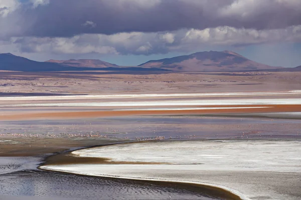 Impresionante Paisaje Lagoon Colorada Con Flamencos Rosados Altiplano Boliviano Potosí — Foto de Stock